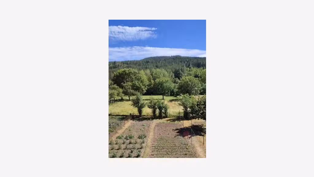 Hôtel restaurant de charme en vente à Lodève