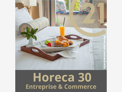 Vente hôtel restaurant lic 4 de caractère à Nîmes