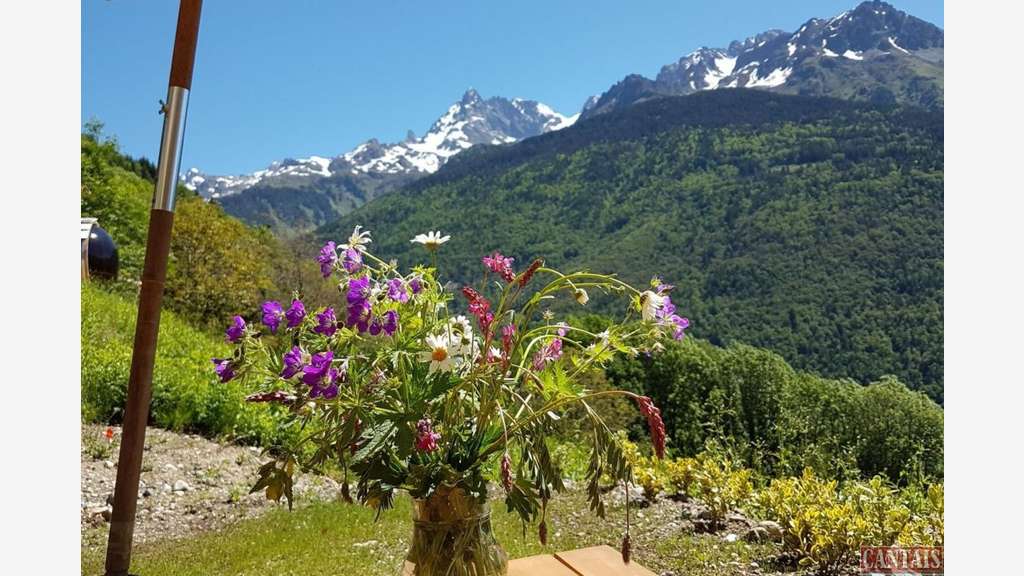 Vente gîte chalet de charme rénové en station