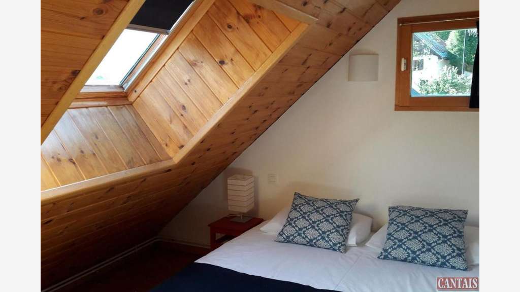 Vente gîte chalet de charme rénové en station