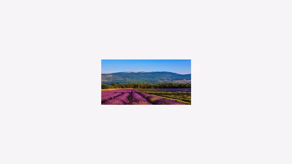 Vente hôtel de charme 3 *** en Provence (84)