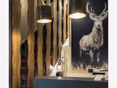 Vente hôtel-restaurant au coeur des Alpes