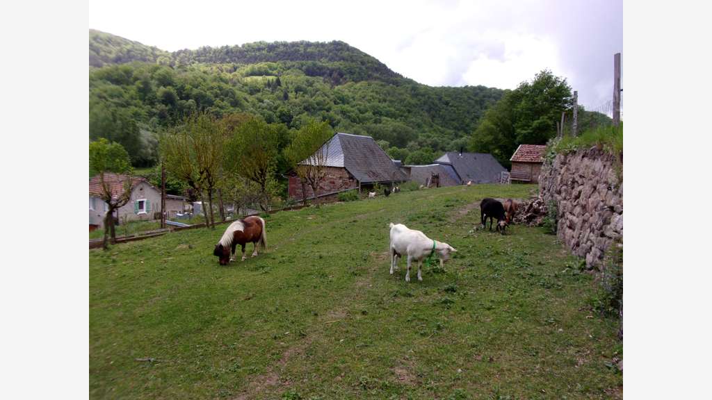 Corps de ferme réhabilité en chambres d'hôtes