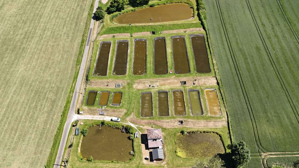 Pisciculture à fort potentiel dans le Lot