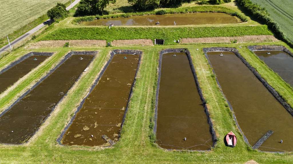 Pisciculture à fort potentiel dans le Lot