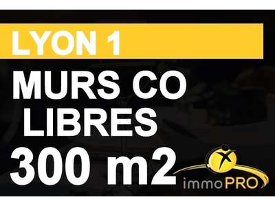 Vente Librairie - Papeterie à Lyon 1er