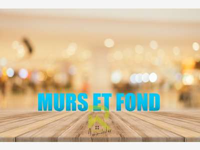 Vente murs et fonds crêperie réputée à Agde