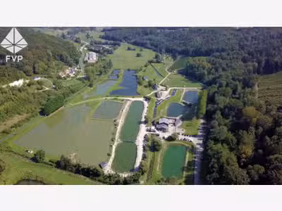 A vendre pisciculture etangs de peche à Colleville
