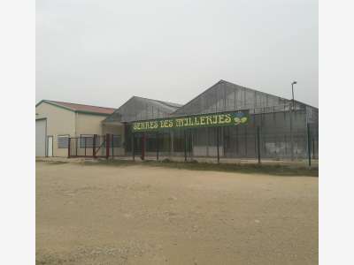 Vend local d'activités de 246m² proche d'Auxerre