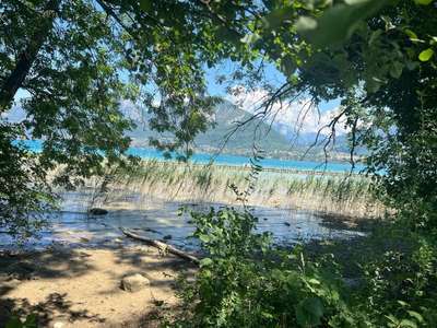 Local commercial de 20m² en vente à Annecy