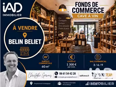 Cession FDC cave à vin 60m² empl strat Sud Gironde