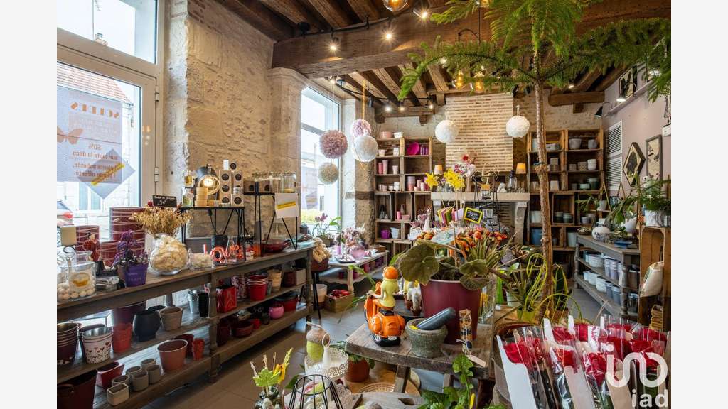 Vente fonds de commerce fleuriste à Ingré