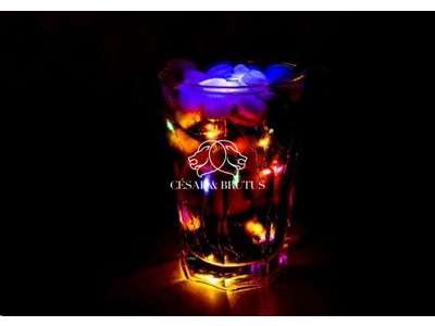 Vente Restaurant à Lyon 1er