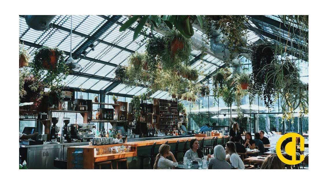 Murs et fonds bar restaurant licence 4 Lyon 69002