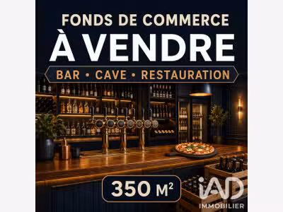 Cède bar restaurant vae de 350m² à Monéteau