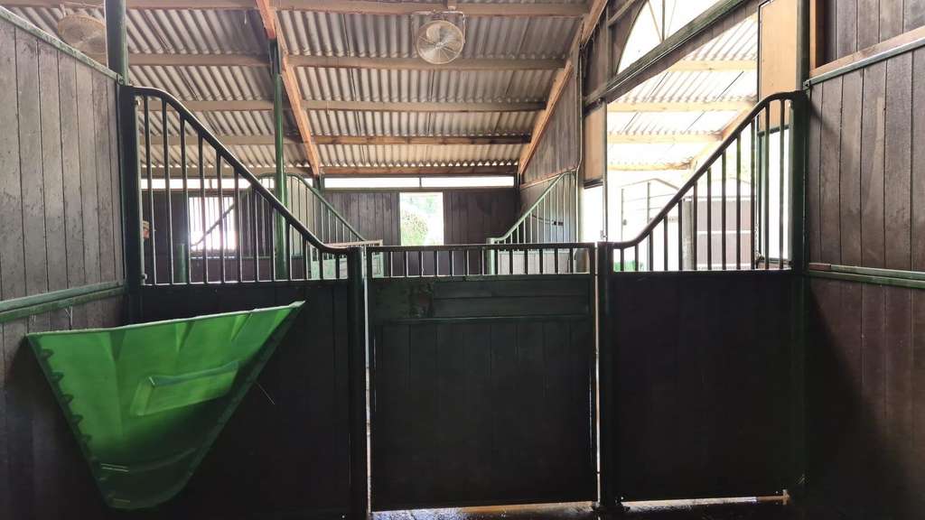 Propriété équestre de standing 12 ha sur Montauban