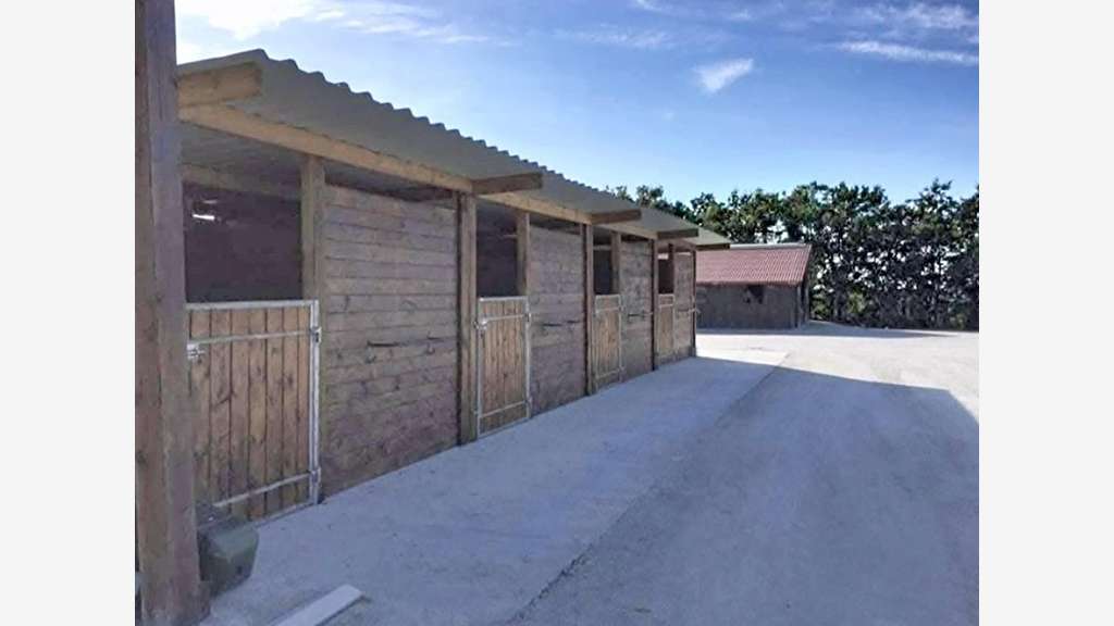Propriété équestre de standing 12 ha sur Montauban