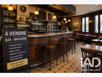 Vente brasserie de quartier licence IV à Nice