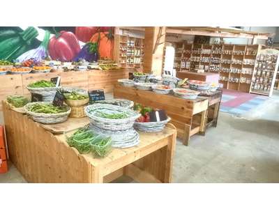 Vente Alimentation à Prades