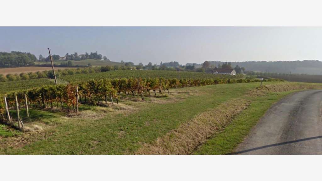 Vente Domaine viticole sur + de 17ha à St Perdoux