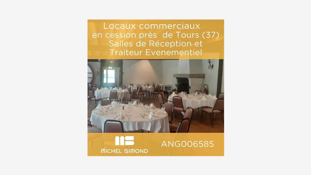 AV bâtiment 400 pers 3 salles sur 1.8ha à Tours