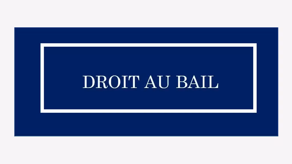 AV boutique antiquaire et brocante à Villeurbanne