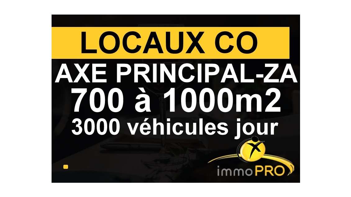 Vend locaux co de 1066m² axe majeur Villefranche