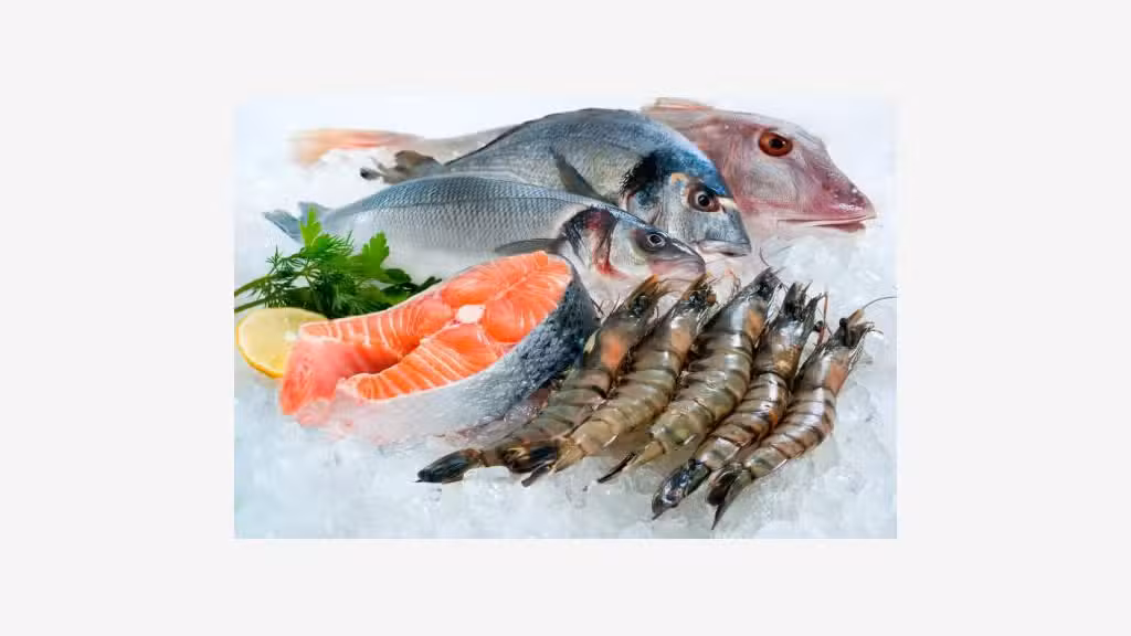 Vente poissonnerie en magasin et sur marchés 13