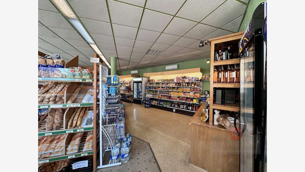 Vente station service épicerie graineterie Eauze