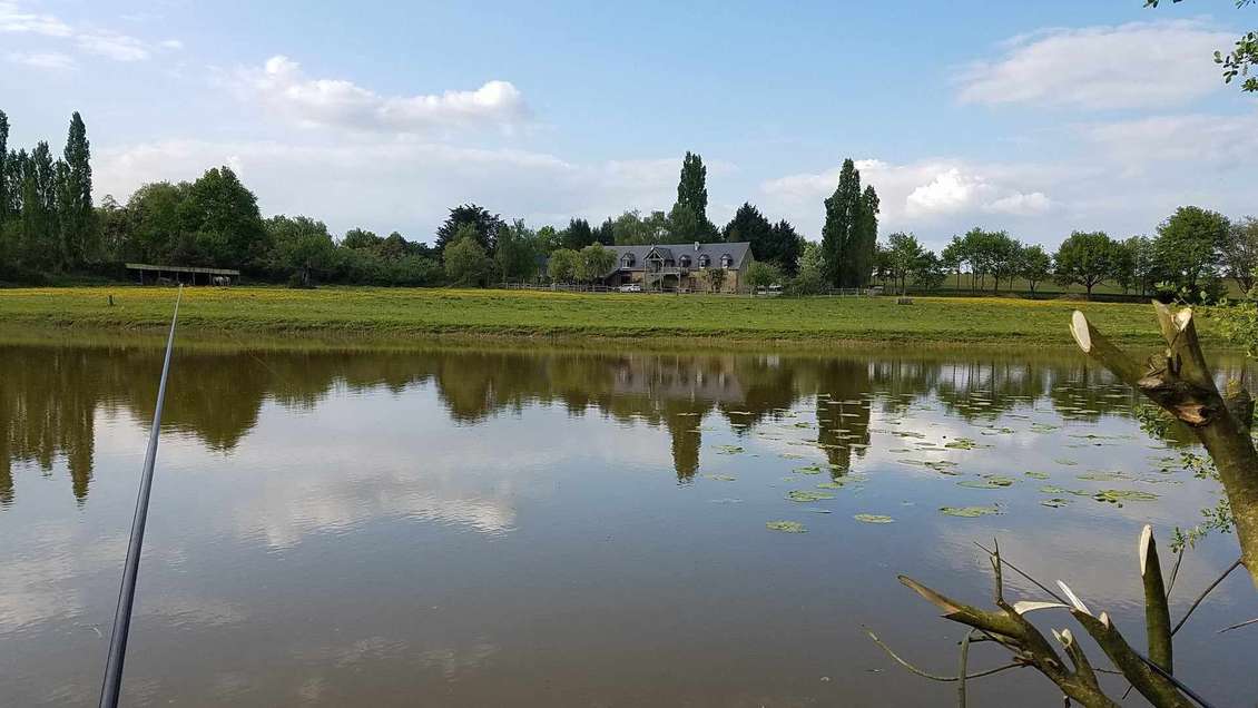 A vendre cave épicerie fine en Sud Mayenne (53)