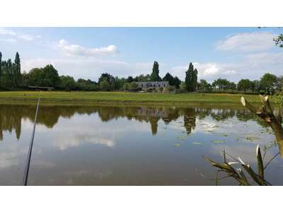 Vente Alimentation à Saint-Erblon