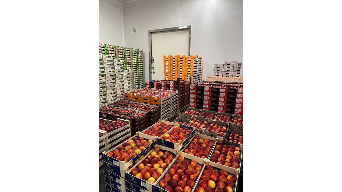 Acteur historique vente de fruits à reprendre