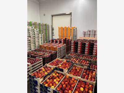 Acteur historique vente de fruits à reprendre