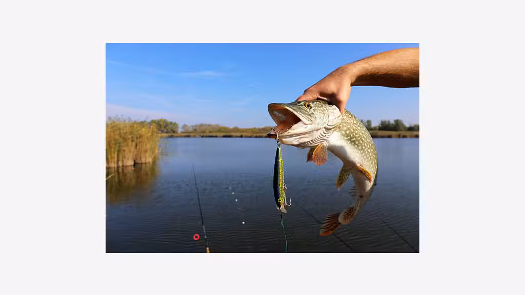 A vendre FDC chasse pêche tabac dans le Gers