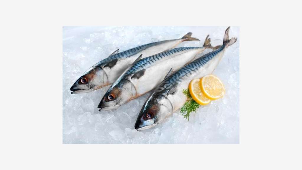 COMMERCE DE POISSONS EN BTOB ET BTOC, STÉ LEADER 