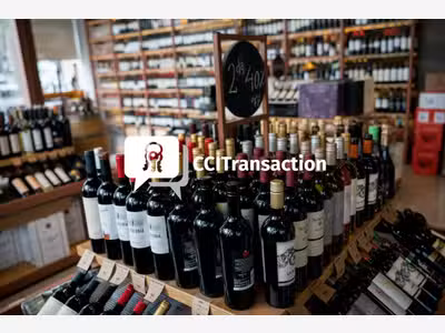 Vente commerce de vins bio et naturels dans l'Eure