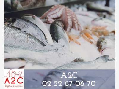 AV banc de poissonnerie sur marchés aux Sables