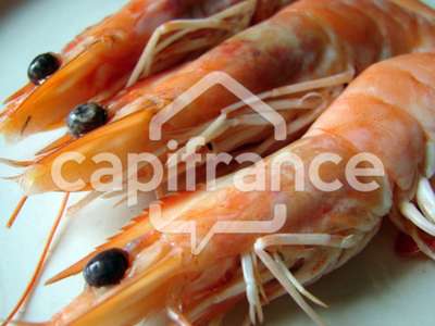 Cession FDC poissonnerie empl N°1 à Royan
