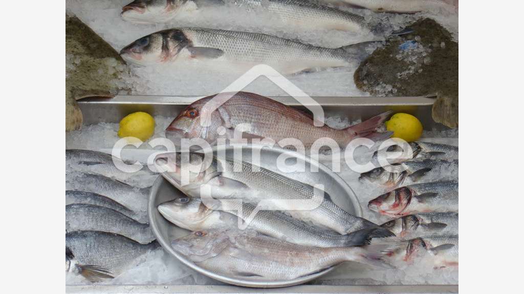 Vente poissonnerie ambulante dans le Finistère Sud