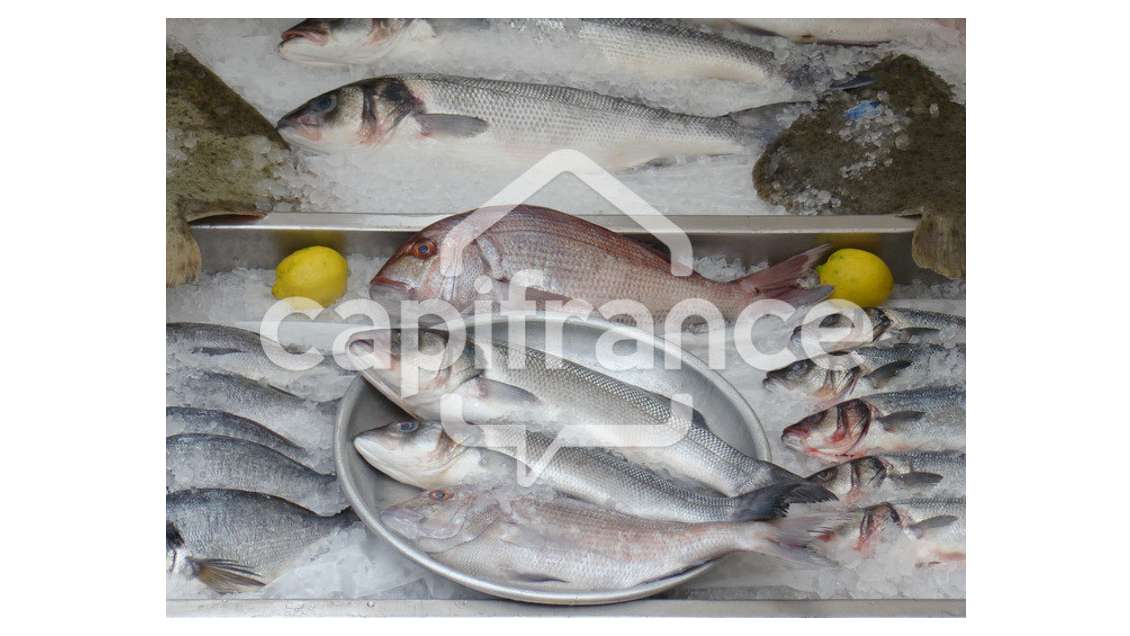 Vente poissonnerie ambulante dans le Finistère Sud