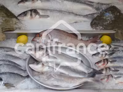 Vente poissonnerie ambulante dans le Finistère Sud