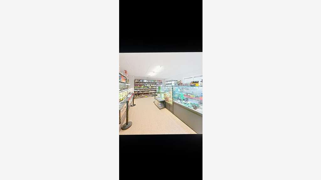 À vendre animalerie secteur Sud Loire de Nantes