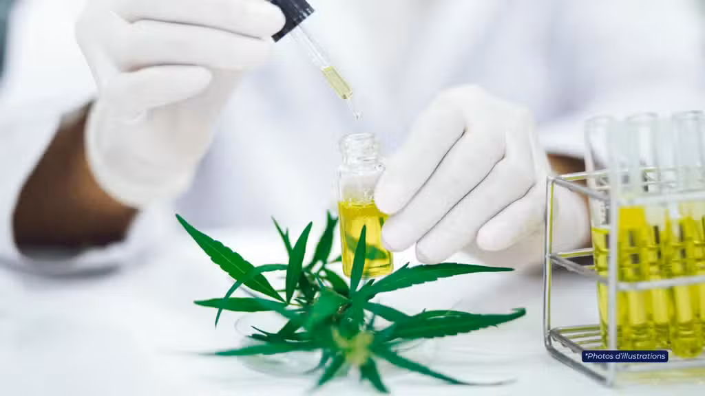 AV Laboratoire de contrôle qualité textile  