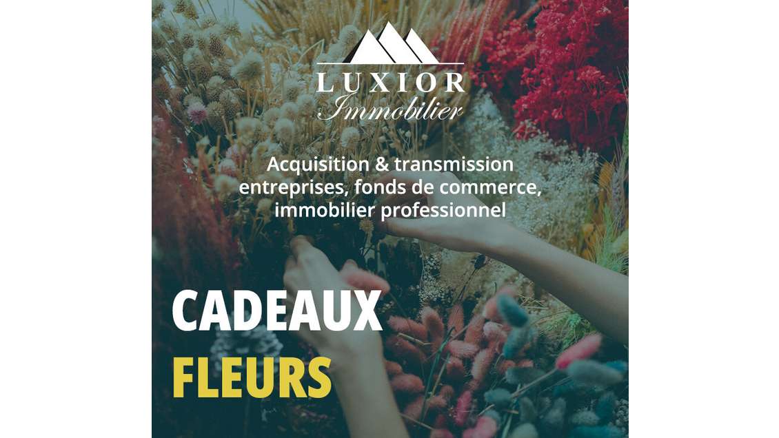 Vente Boutique Fleuriste/Décoration Finistère