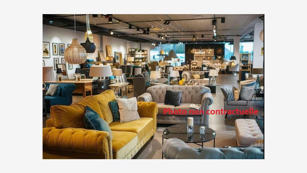 Vente fonds déco meubles maison 75011 Paris