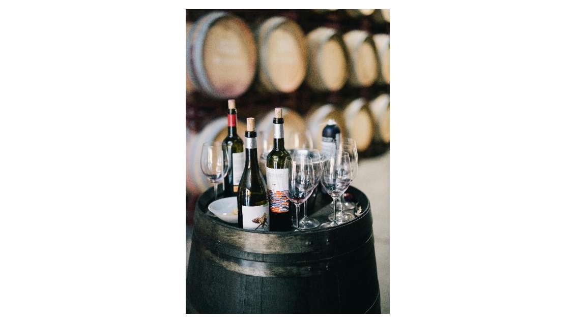 Vente magnifique cave à vin & fromagerie au Nord