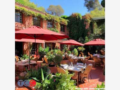 Vente AV murs de restaurant cave à vin à Pibrac