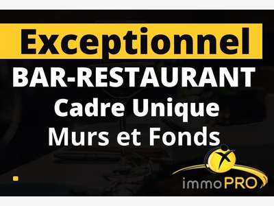 Vend murs et fonds bâtiment de 500m² à Lyon