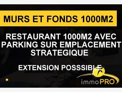 Grosse opportunité murs + fonds restaurant Meyzieu