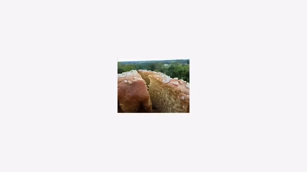 pâtisserie-chocolaterie  pte ville des Landes